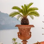 Florida Positano